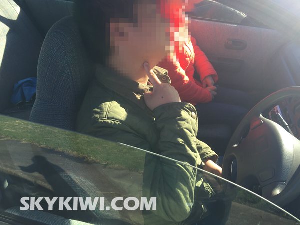 (新西蘭天維網)