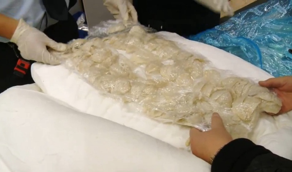 (新西蘭天維網(wǎng))