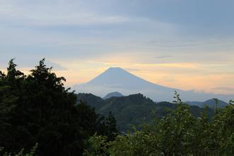 (日本新華僑報網(wǎng))