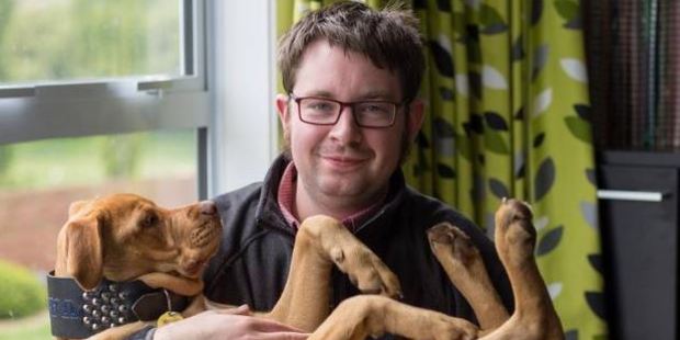 (新西蘭中華新聞網)