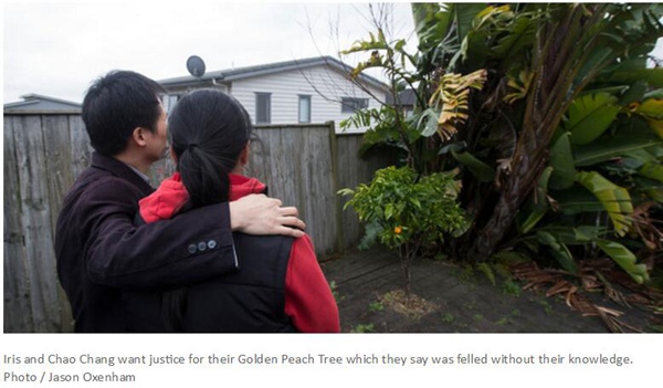 (新西蘭天維網(wǎng))