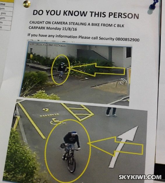 (新西蘭天維網(wǎng))