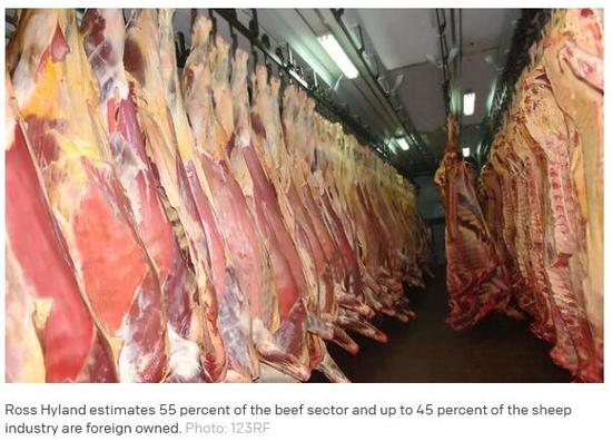 (新西蘭天維網(wǎng)援引RNZ圖片)