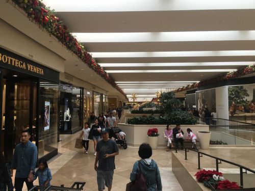 (美國中文網(wǎng)圖片)