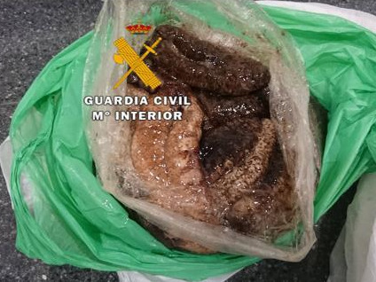 (西班牙《歐華報(bào)》)