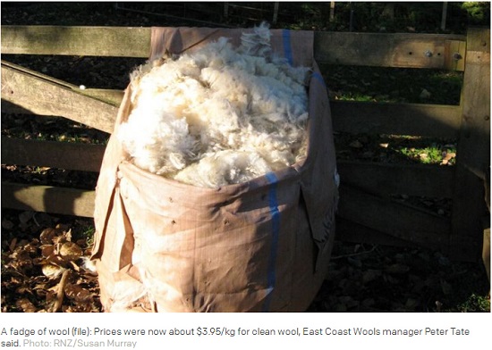 中國僑網(wǎng)(radionz圖片)