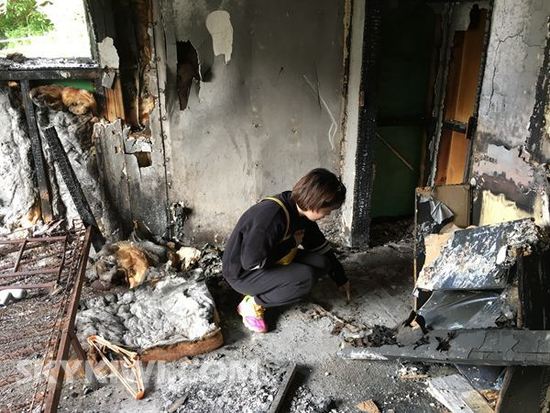 中國僑網(wǎng)(新西蘭天維網(wǎng)圖片)