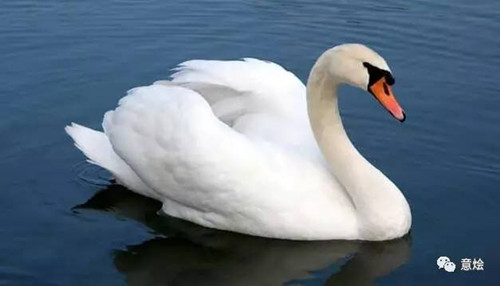 中國(guó)僑網(wǎng)(意燴微信公眾號(hào))