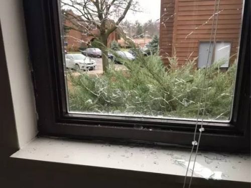 中國(guó)僑網(wǎng)子彈打碎了部分玻璃(美國(guó)《僑報(bào)》)