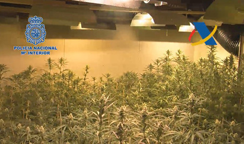 中國僑網(wǎng)(西班牙《歐華報(bào)》)