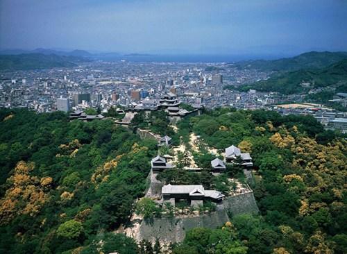 中國(guó)僑網(wǎng)(日本新華僑報(bào)網(wǎng))