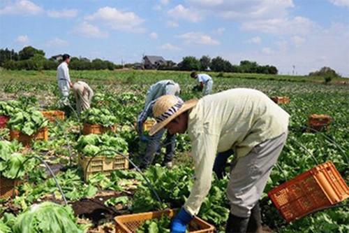 中國(guó)僑網(wǎng)(日本新華僑報(bào)網(wǎng))