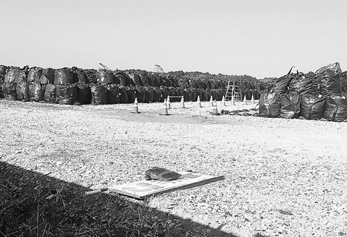 中國(guó)僑網(wǎng)