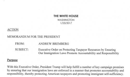 中國(guó)僑網(wǎng)草案截圖(美國(guó)《僑報(bào)》)