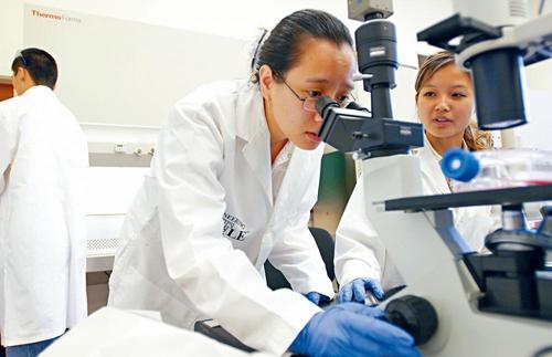 中國僑網(wǎng)計劃提供的貸款,有助新移民完成海外資歷認證過程,盡快重操故業(yè)。(加拿大《星島日報》)