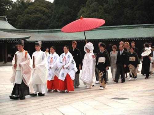 中國(guó)僑網(wǎng)資料圖。(日本新華僑報(bào)網(wǎng))