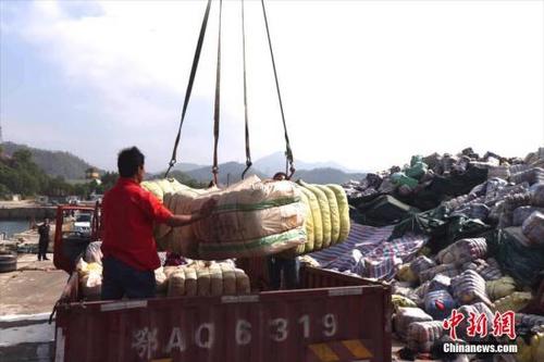 中國(guó)僑網(wǎng)資料圖:深圳海關(guān)組織銷(xiāo)毀行動(dòng)。 中新社記者 陳文 攝