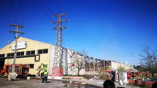 中國僑網(wǎng)(《歐華報》圖片)