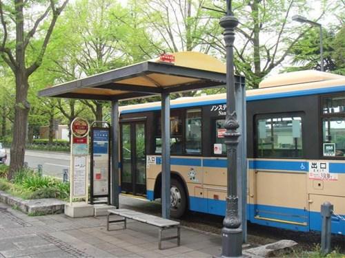 中國僑網(wǎng)資料圖。(日本新華僑報(bào)網(wǎng))