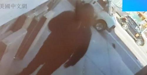 中國(guó)僑網(wǎng)視頻截圖(美國(guó)中文網(wǎng))