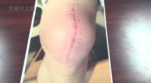 中國僑網(wǎng)(美國)