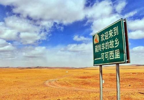 中國僑網(wǎng)資料圖