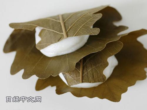 中國僑網日式傳統點心“柏葉餅”。(日經中文網)
