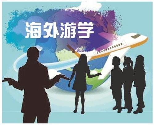 中國僑網(wǎng)調(diào)查動(dòng)機(jī)