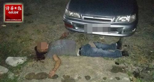 中國僑網(wǎng)(馬來西亞《詩華日?qǐng)?bào)》)