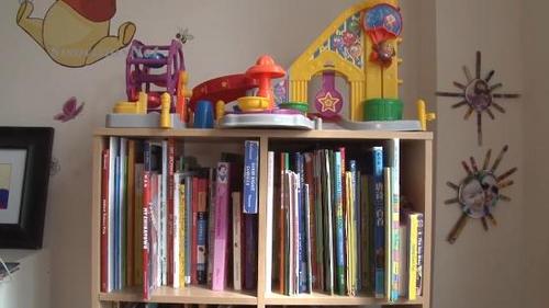 中國(guó)僑網(wǎng)(美國(guó)中文網(wǎng))