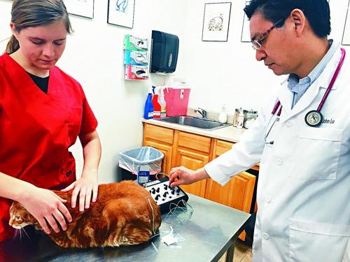 中國僑網(wǎng)(美國《星島日?qǐng)?bào)》)