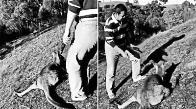 中國(guó)僑網(wǎng)