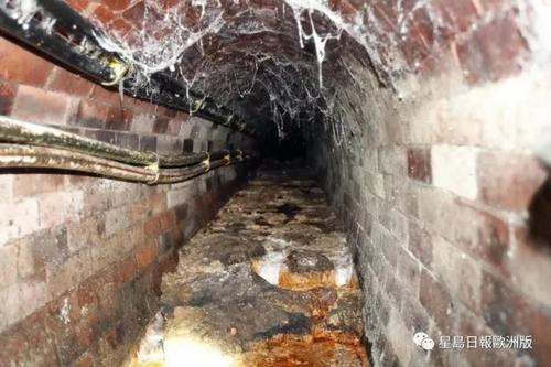 中國僑網(wǎng)(星島日報歐洲版微信公眾號)