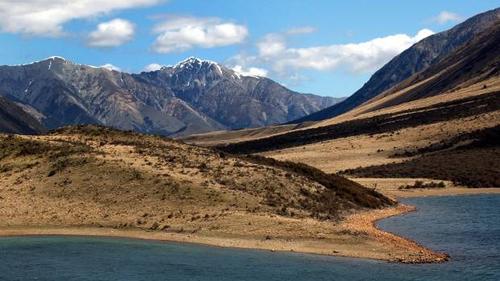 中國僑網(wǎng)(新西蘭天維網(wǎng))