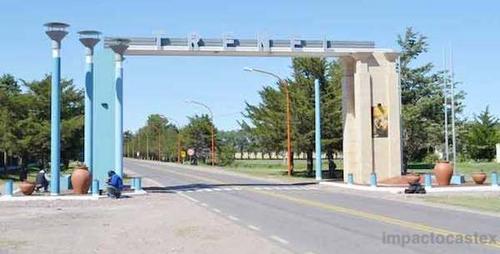 中國(guó)僑網(wǎng)