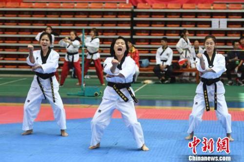 中國(guó)僑網(wǎng)資料圖。楊華峰 攝