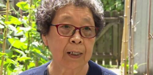 中國(guó)僑網(wǎng)韓阿婆(新西蘭天維網(wǎng))