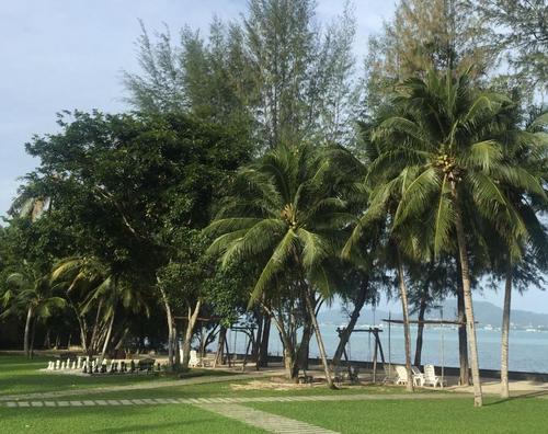 中國僑網(wǎng)普吉島某海濱度假酒店 中新經(jīng)緯李曉萱 攝