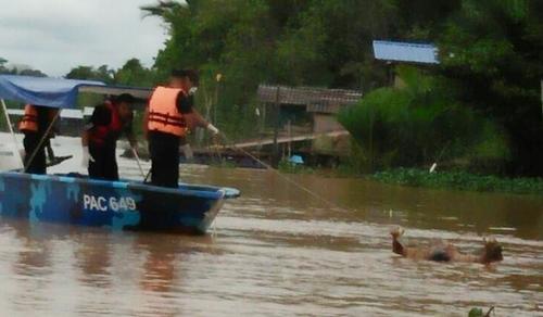 中國(guó)僑網(wǎng)水警將死者遺體打撈上岸。(馬來(lái)西亞《詩(shī)華日?qǐng)?bào)》資料圖)