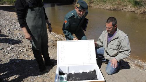 中國僑網(wǎng)(資料圖:西班牙歐浪網(wǎng))