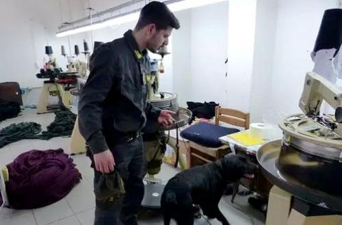 中國僑網(wǎng)意大利特雷維索卡諾瓦機(jī)場。