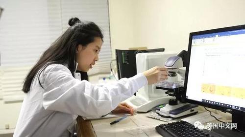 中國僑網(wǎng)(美國中文網(wǎng))