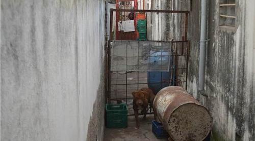 中國僑網(wǎng)(圖片來源:阿根廷華人網(wǎng))