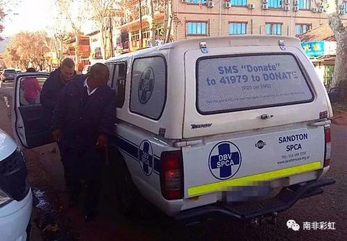 中國(guó)僑網(wǎng)“預(yù)防虐待動(dòng)物”工作人員接到舉報(bào)來(lái)到唐人街。(南非華人網(wǎng)援引南非彩虹)