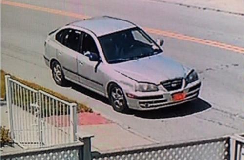 中國(guó)僑網(wǎng)(圖片來(lái)源:美國(guó)《僑報(bào)》)