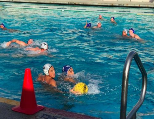 中國僑網(wǎng)Alex(4號)陳剛加入學(xué)校水球隊(Junior Varsity)不久,進(jìn)入校隊(Vasity)有些小難度。(美國《僑報》/章寧 攝)