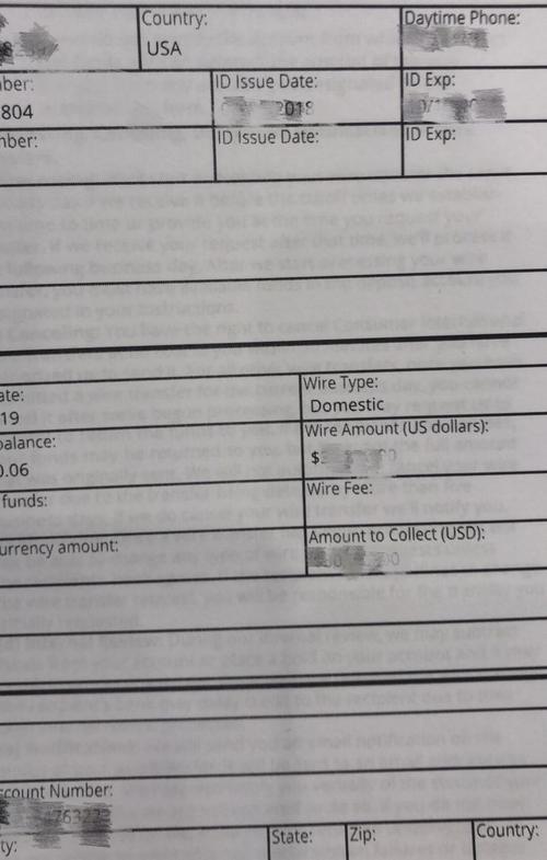 中國僑網(wǎng)銀行電匯單。僑報(bào)記者王珂瑩供圖