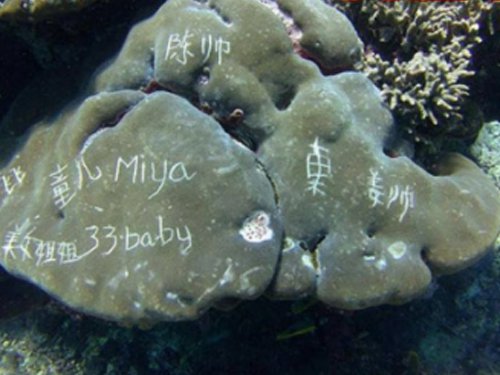 (圖:互聯(lián)網(wǎng))