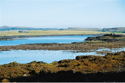 天空島上的沼澤地。