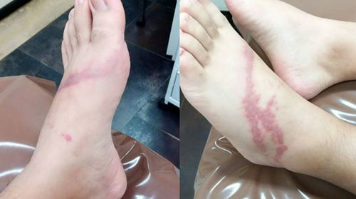 (泰國(guó)《世界日?qǐng)?bào)》)